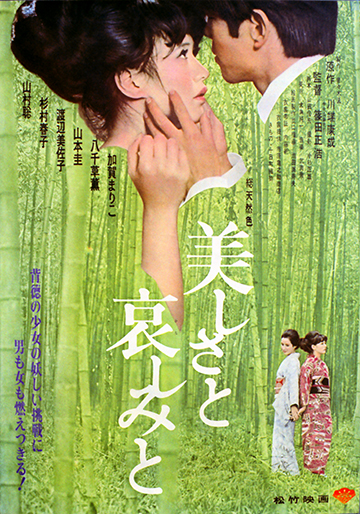Amazon.co.jp: 美しさと哀しみと [DVD] : 加賀まりこ, 川端康成