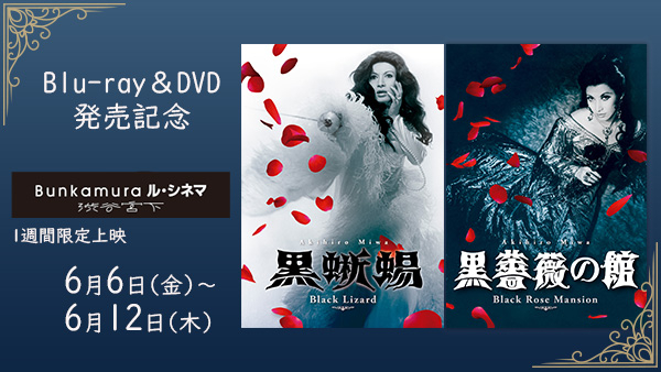 黒蜥蜴」「黒薔薇の館」 [DVD]